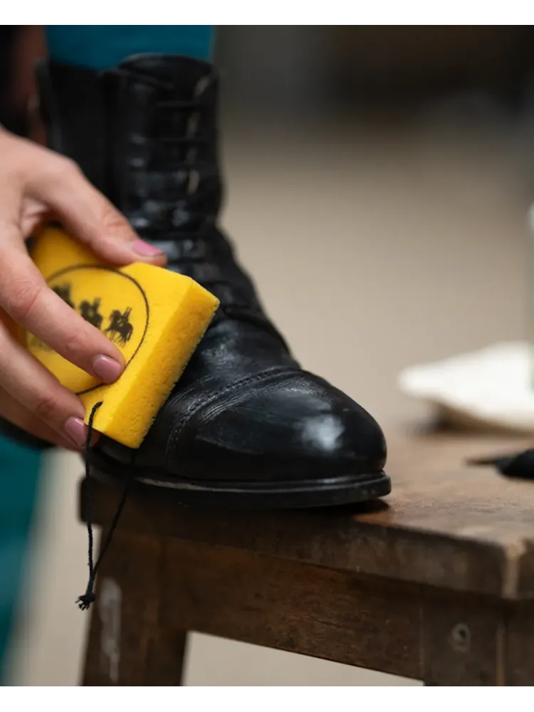 Shoe and leather care set Kavalkade