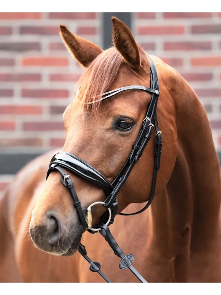 Browband Duo Slim Kavalkade
