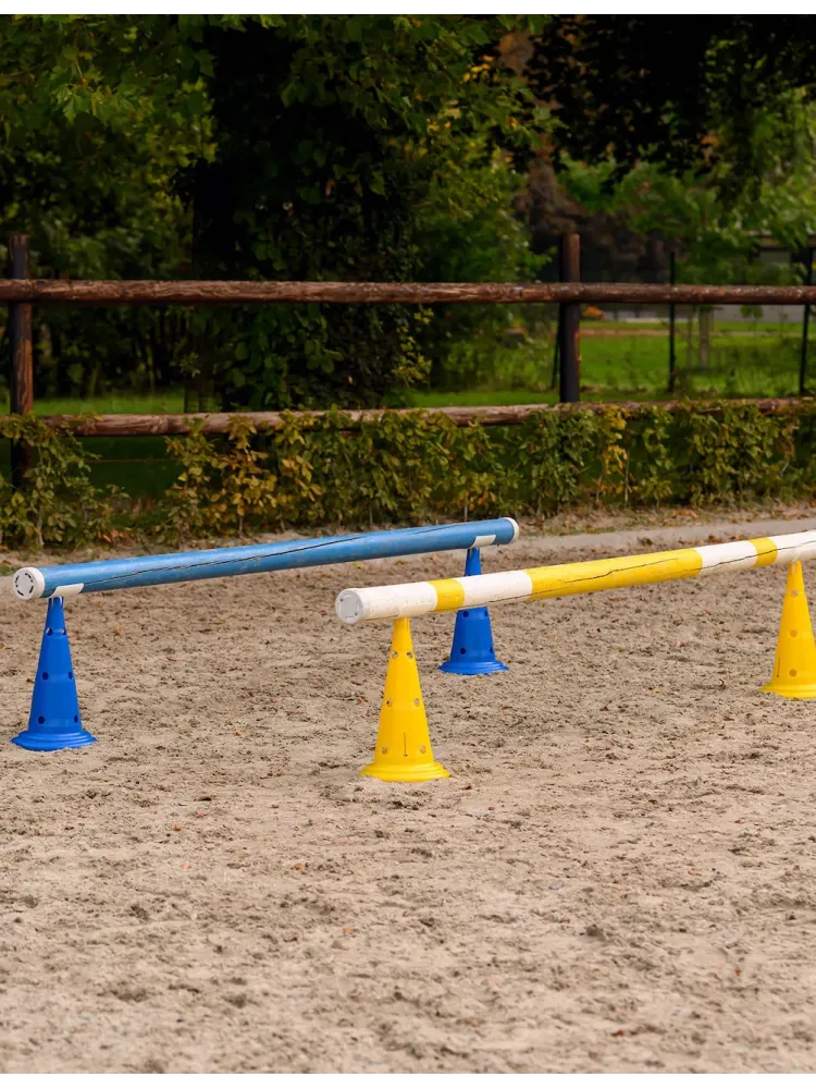 Pylons 8tk Waldhausen