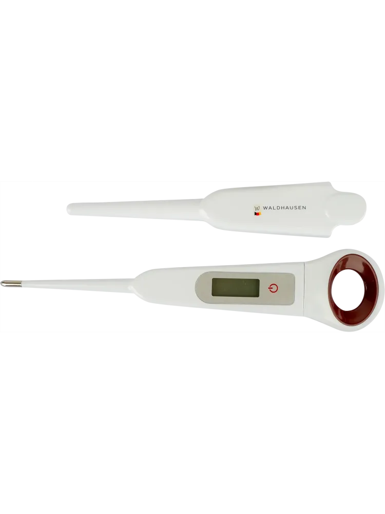 Digital thermometer Waldhausen