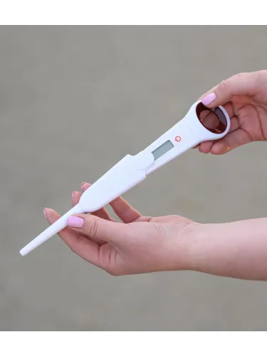 Digital thermometer Waldhausen