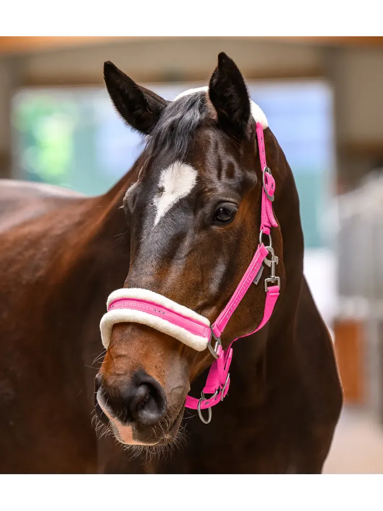 Halter Elegant Waldhausen