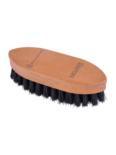 Dirt brush Exclusive Line Waldhausen