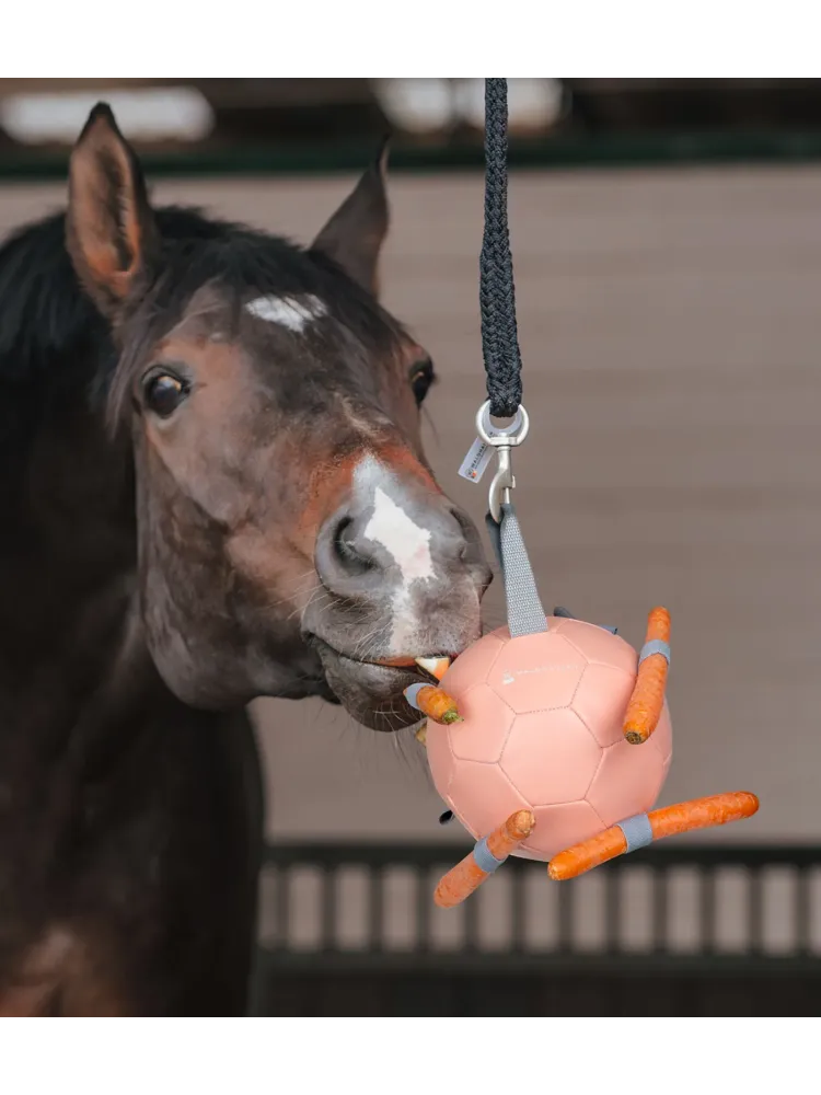 Carrot ball Waldhausen