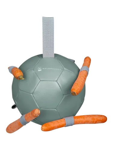 Carrot ball Waldhausen