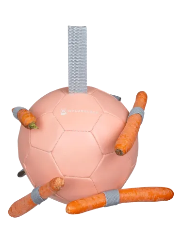 Carrot ball Waldhausen
