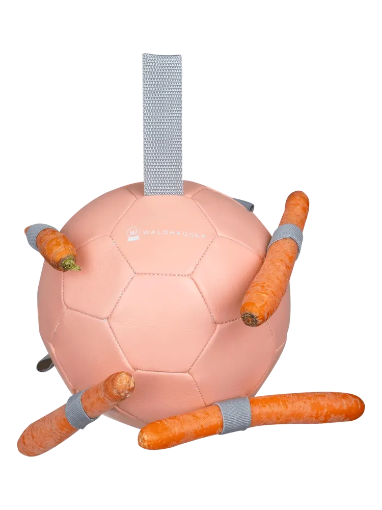 Carrot ball Waldhausen