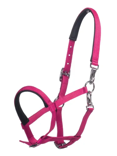 Foal halter Millie HKM
