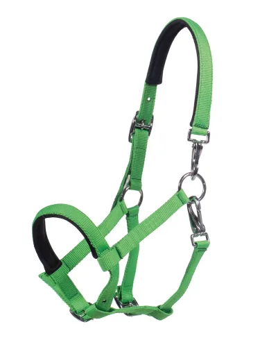 Foal halter Millie HKM