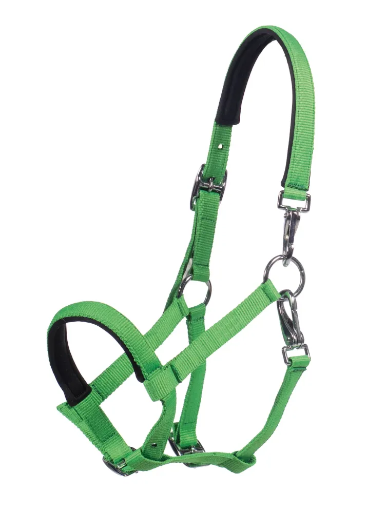 Foal halter Millie HKM