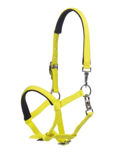 Foal halter Millie HKM