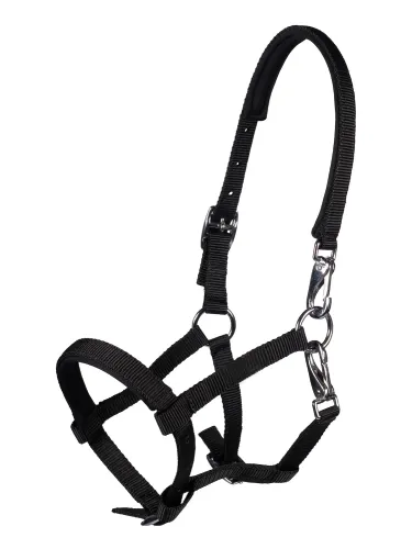Foal halter Millie HKM