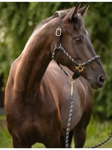 Halter Limone Sportive Lauria Garrelli