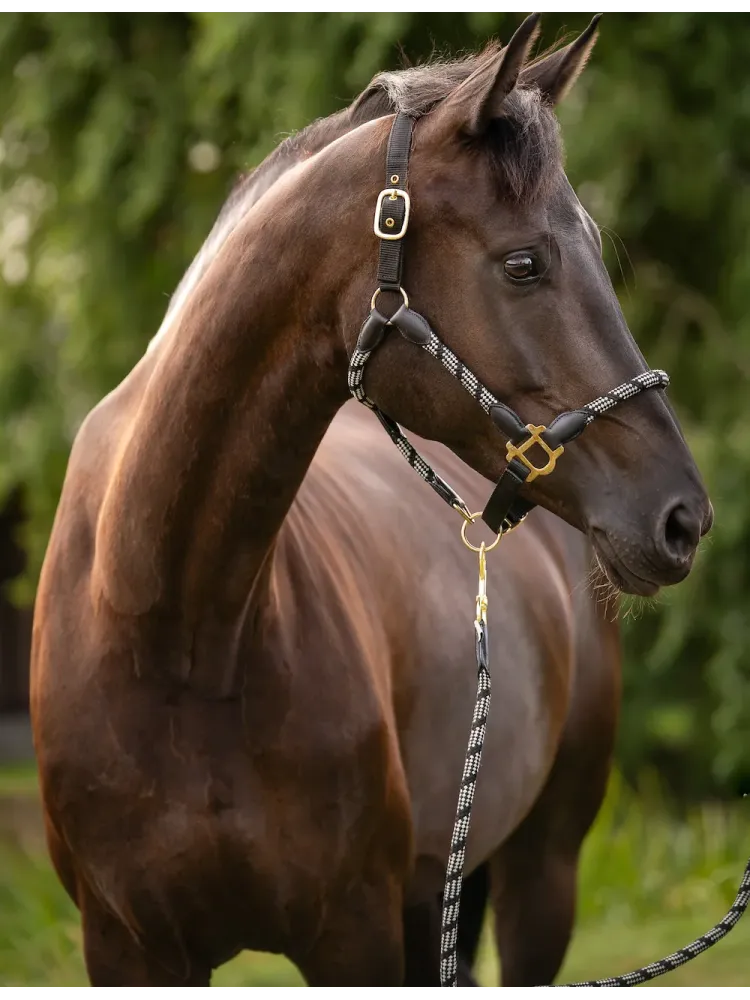 Halter Limone Sportive Lauria Garrelli