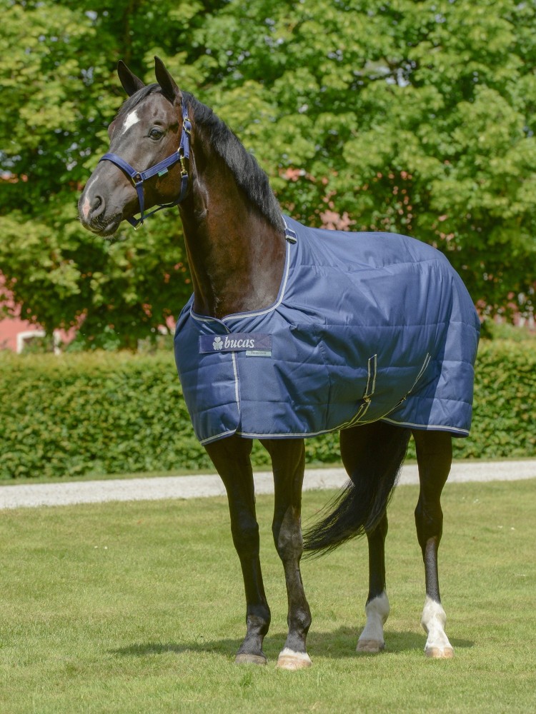 Stable rug Quilt 50g SF Bucas