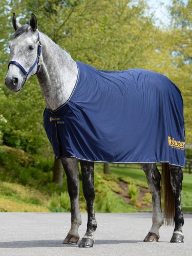 Cooler rug Power Prize Cooler Bucas
