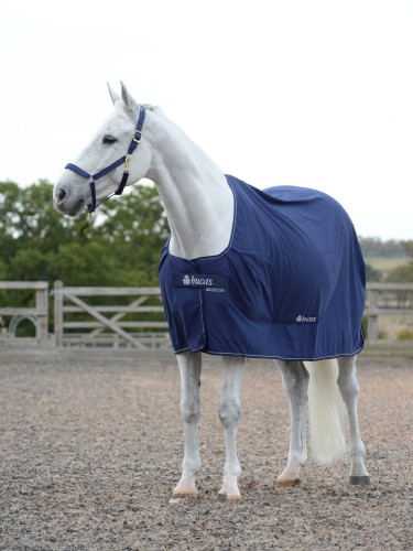 Cooler rug Power Cooler Bucas