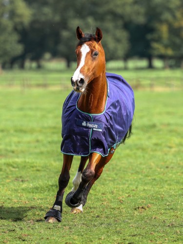 Smartex Turnout 150g 1680D Bucas