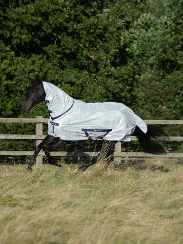 Freedom Fly Sheet Bucas
