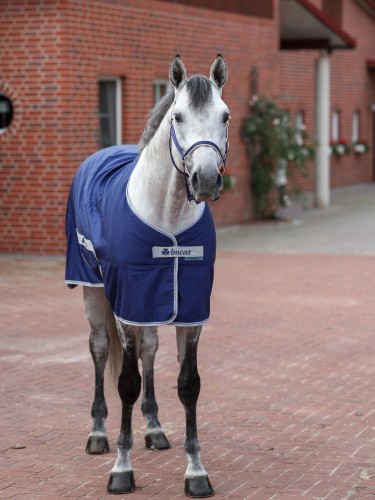 Horse rug Freedom Twill Bucas