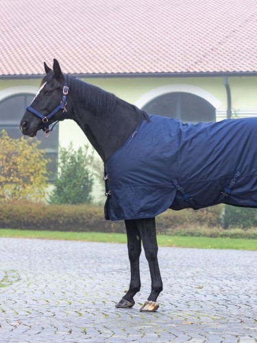 Turnout rug IceProtect 200g 600D RugBe
