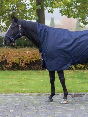Turnout rug Highneck 0g 600D RugBe