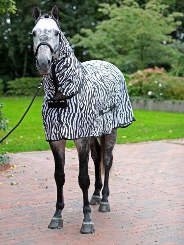Fly rug Zebra RugBe