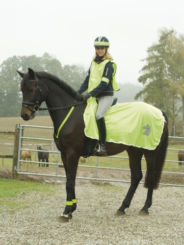 Reflective Safety Blanket