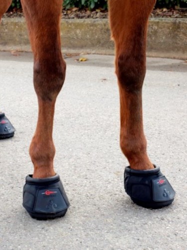 HoofBoot Covalliero
