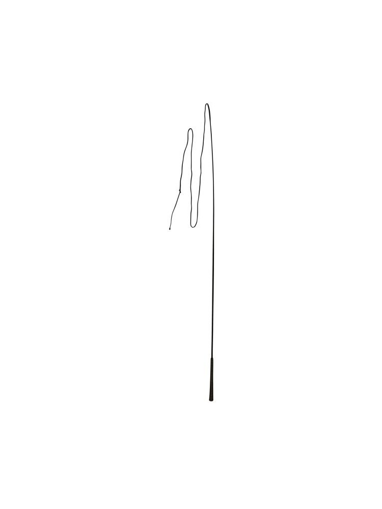 Lunging whip 180cm Covalliero Lunging whip 180cm Covalliero