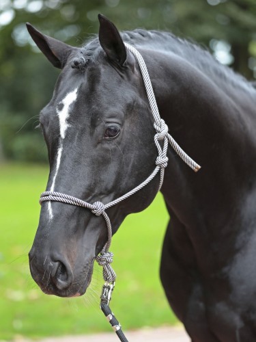 Knotted halter Kerbl