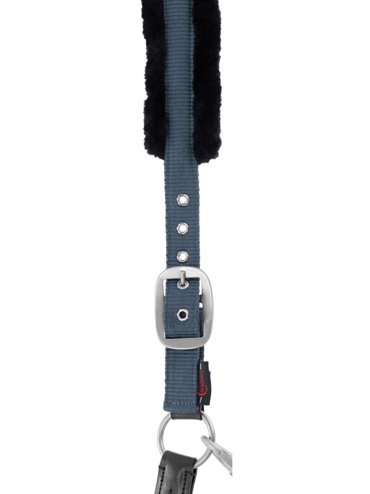 Halter Cordano Covalliero