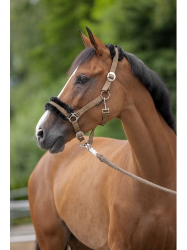 Halter ClassicSoft Covalliero