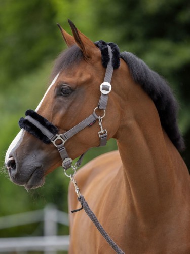 Halter ClassicSoft Covalliero