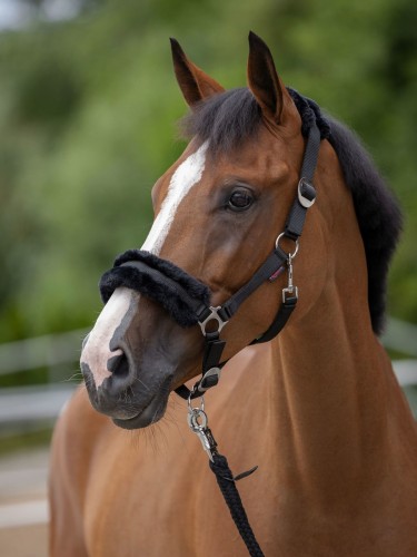 Halter ClassicSoft Covalliero