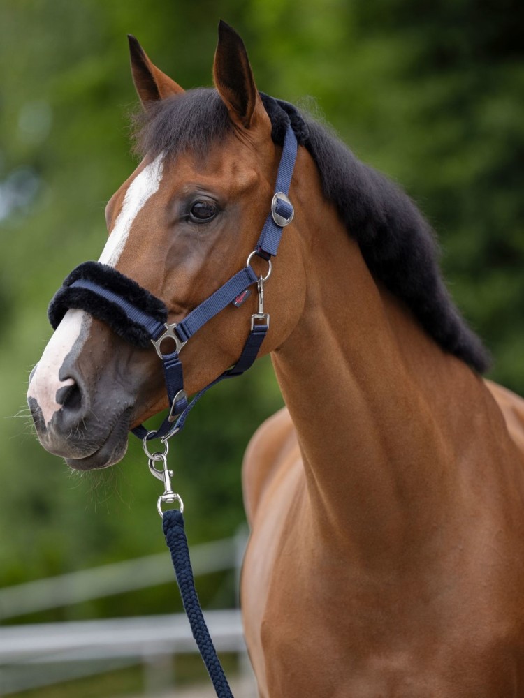 Halter ClassicSoft Covalliero
