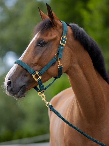 Halter TopLine Covalliero