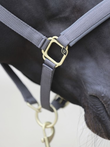 Halter Classy Covalliero