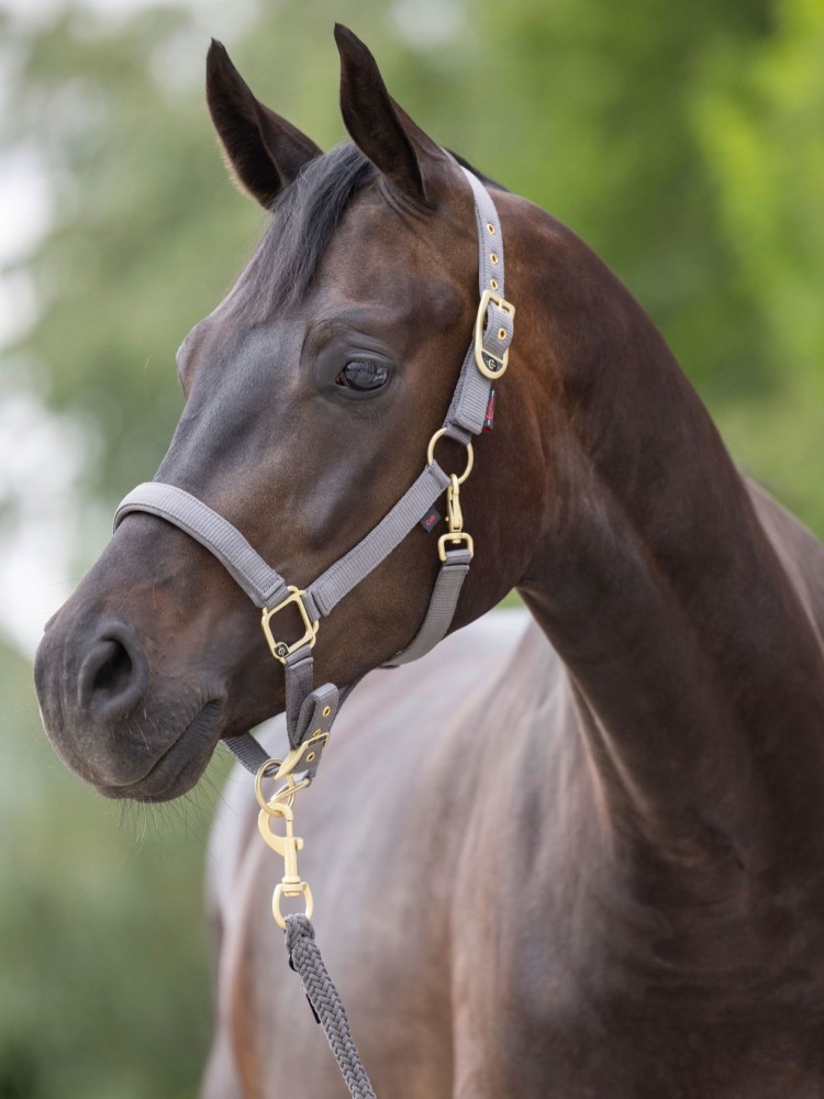 Halter Classy Covalliero