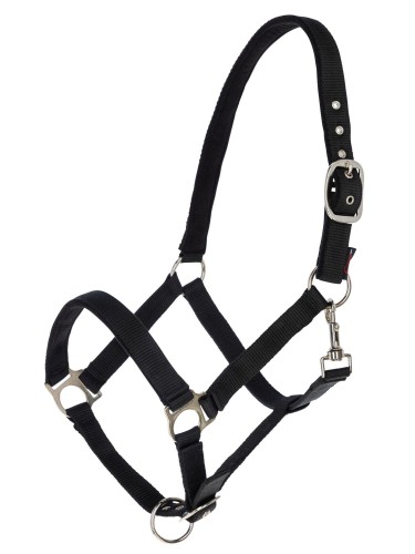 Halter Dexter Covalliero