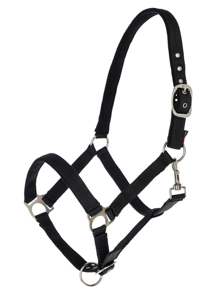 Halter Dexter Covalliero