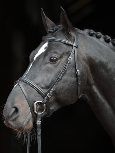 Bridle Standard Covalliero