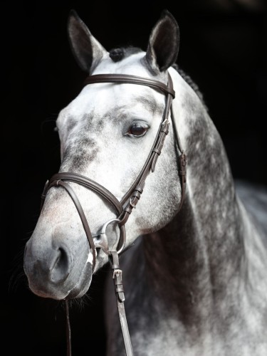 Bridle Standard Covalliero