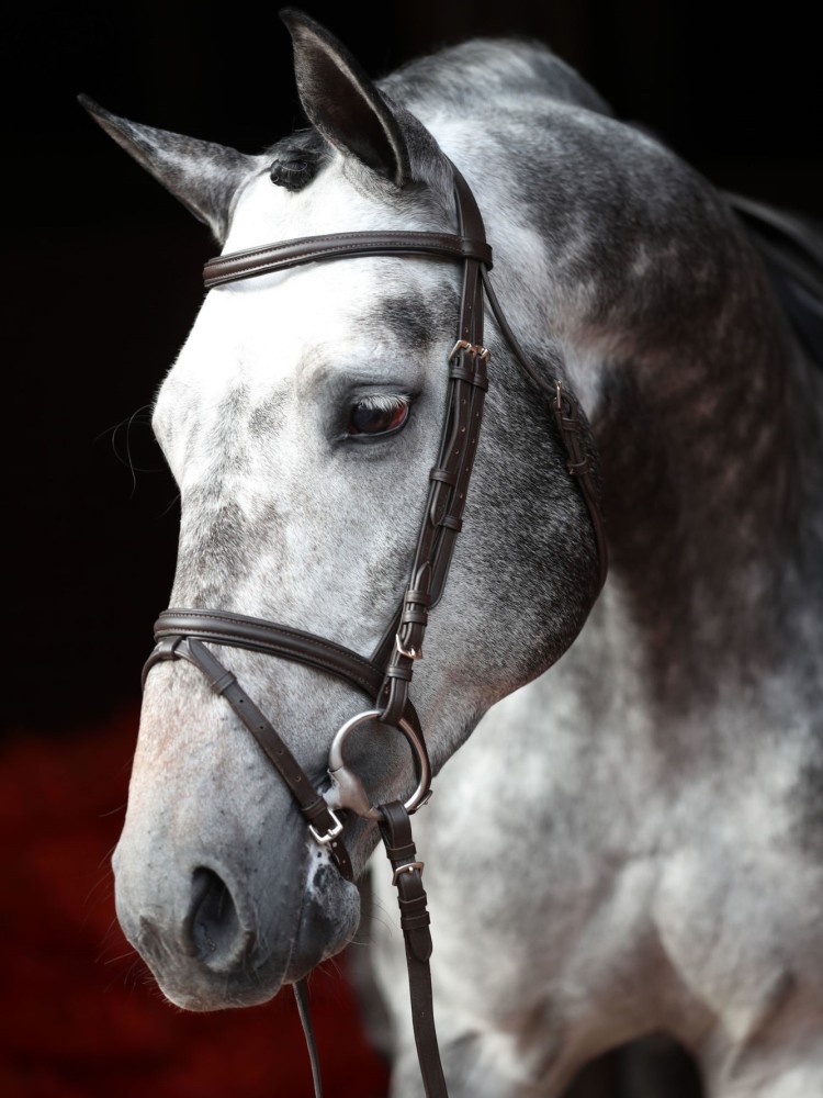 Bridle Standard Covalliero