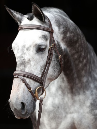 Bridle Classic Covalliero