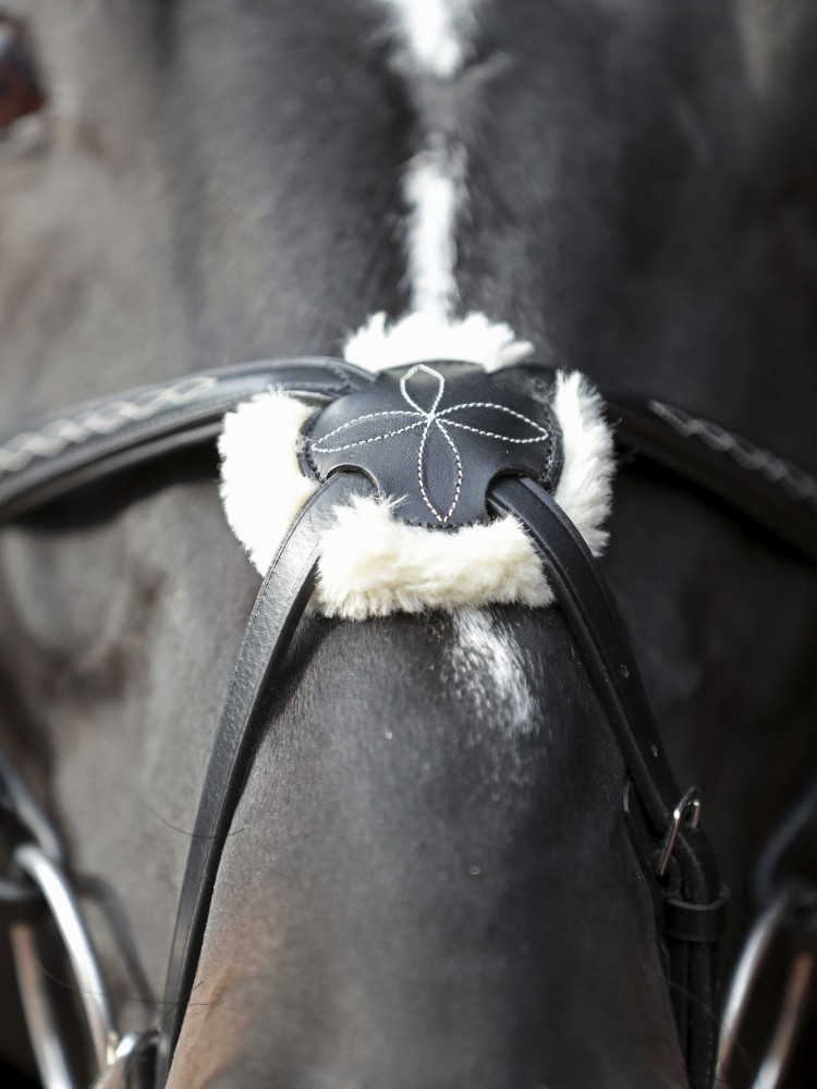 Bridle Cancun Covalliero