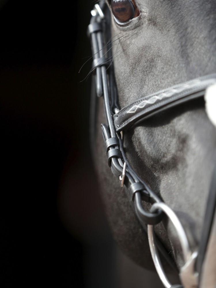 Bridle Cancun Covalliero