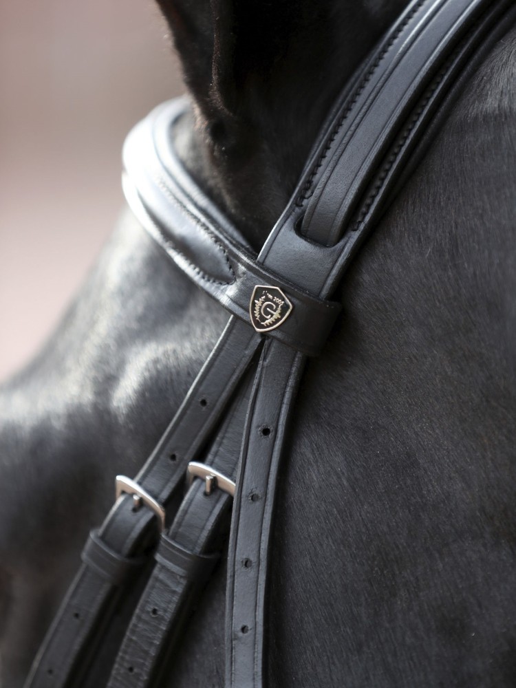 Bridle Cancun Covalliero