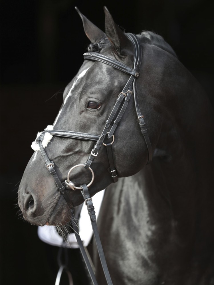 Bridle Cancun Covalliero