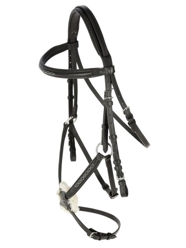 Bridle Cancun Covalliero